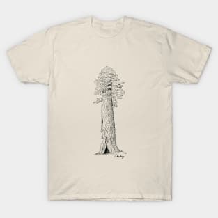 Sequoia T-Shirt